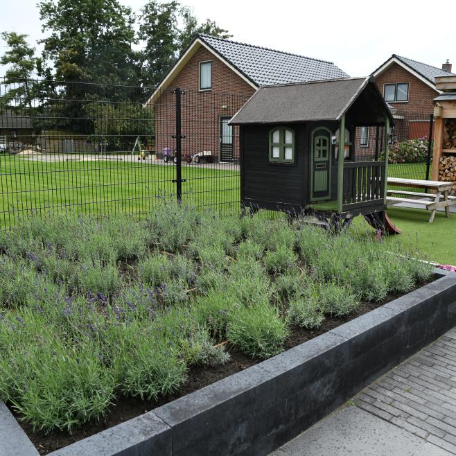 Voorbeeld border met Lavendel